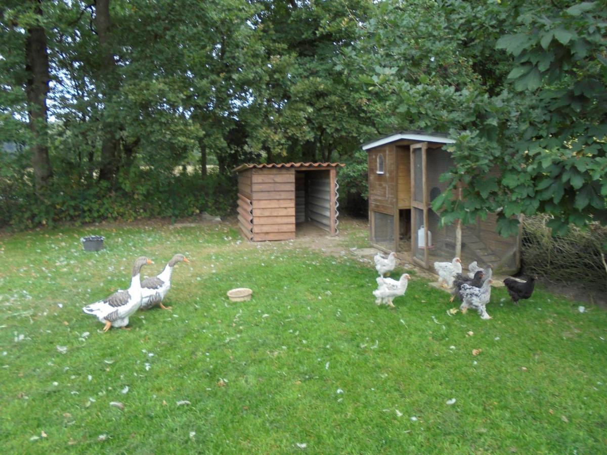 Ferienwohnung Kueper Getelo Esterno foto